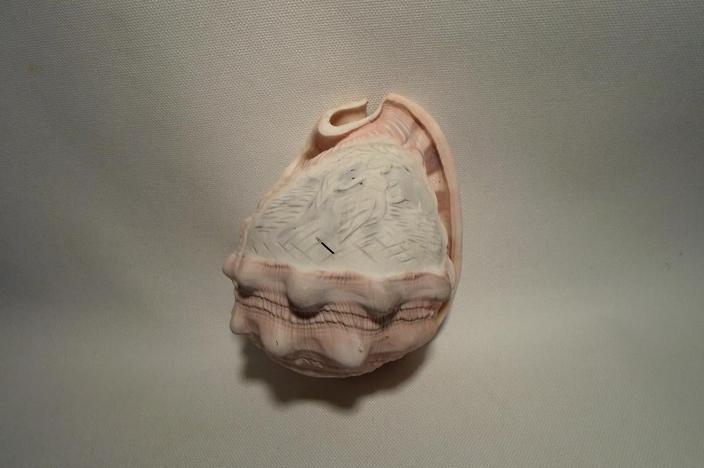 Camee Schelp Voor Lamp, Ophalen of Verzenden