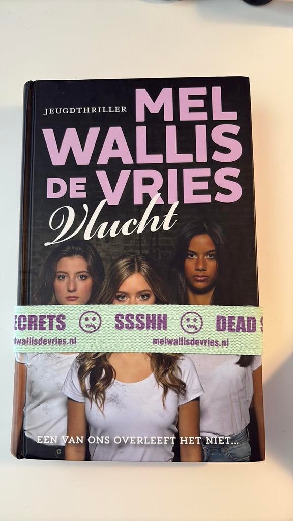 Mel Wallis de Vries - Vlucht, Boeken, Ophalen of Verzenden, Fictie, Mel Wallis de Vries, Zo goed als nieuw