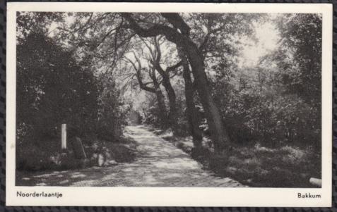 Bakkum - Noorderlaantje, Ophalen of Verzenden, 1940 tot 1960, Gelopen, Noord-Holland