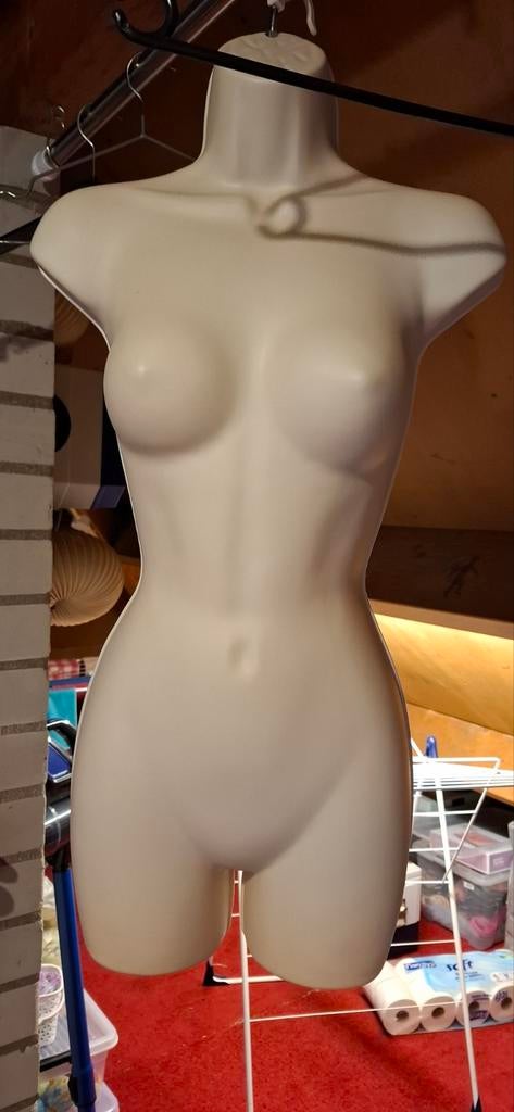 Bovenlichaam paspop, Ophalen of Verzenden, Nieuw