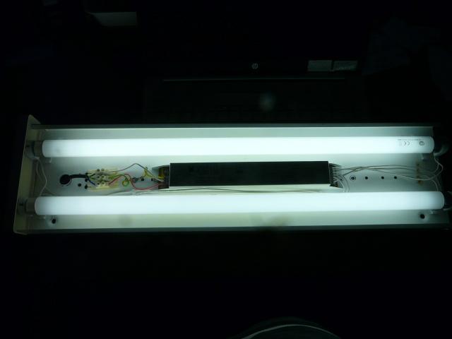 LICHTBAK MET 2 TL LAMPEN, Ophalen, Gebruikt, Overige materialen, Minder dan 50 cm