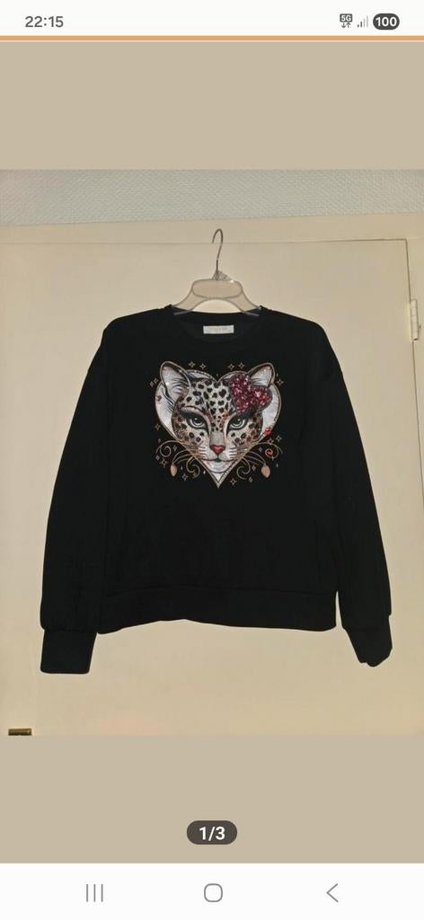 Dames trui, Kleding | Dames, Truien en Vesten, Maat 38/40 (M), Zwart, Ophalen of Verzenden, Zo goed als nieuw