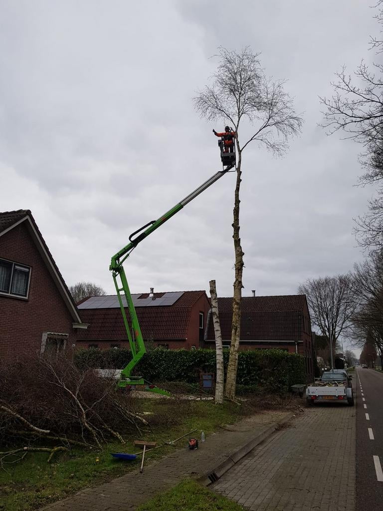 Bomen snoeien, kappen, rooien, en verder tuinonderhoud