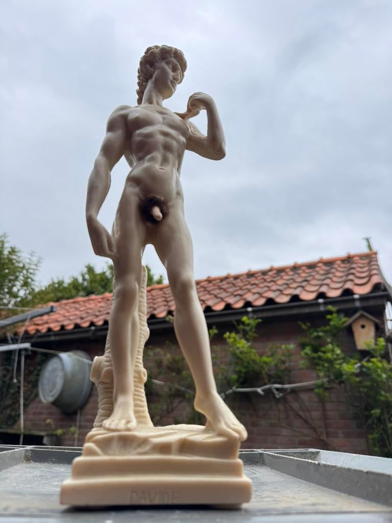 David beeld Michael Angelo, Ophalen of Verzenden