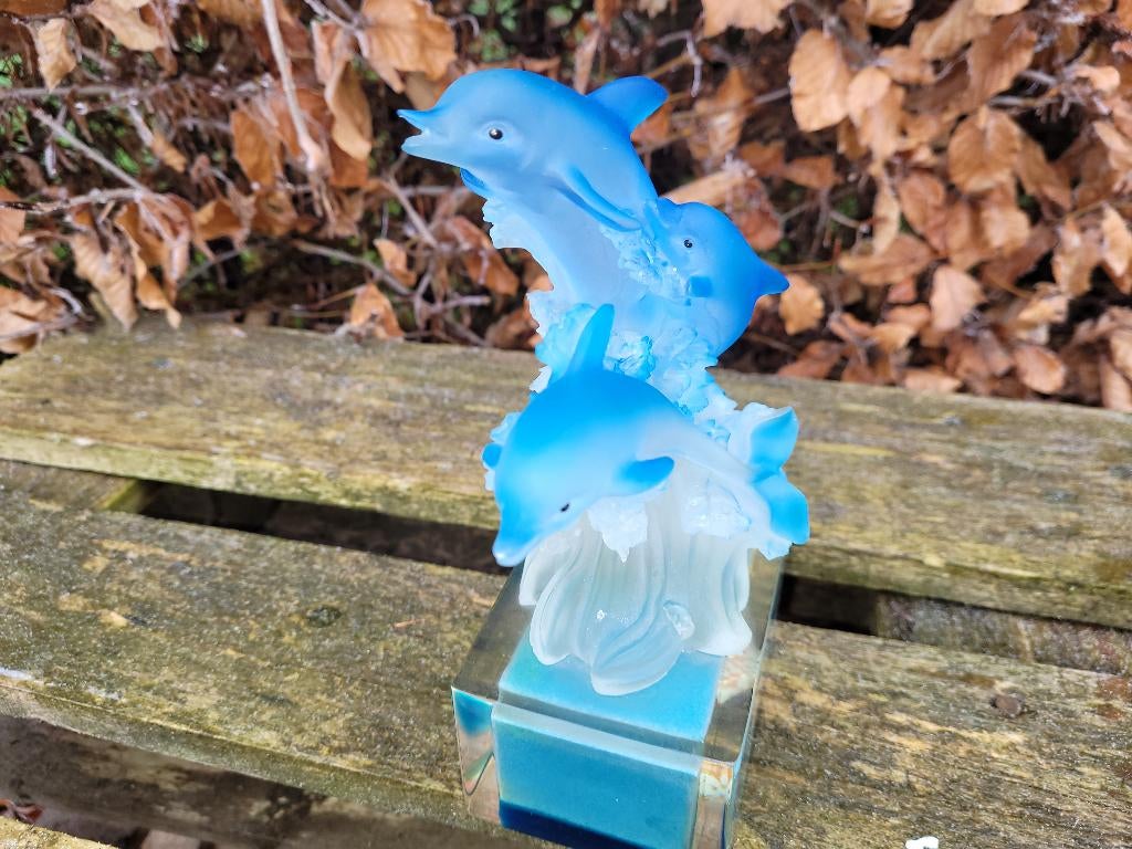 schitterende blauw dolfijnen /dolfijn beeld, Ophalen of Verzenden, Zo goed als nieuw, Mens