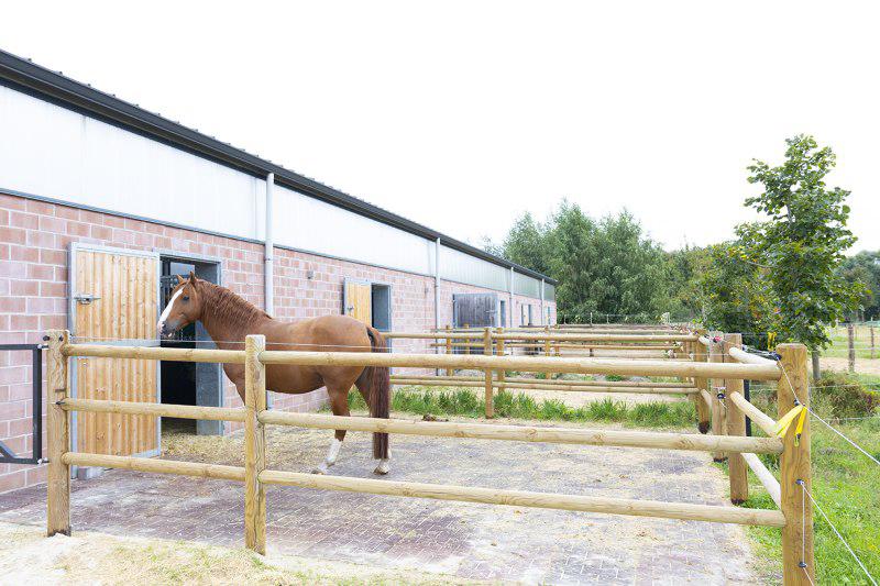OPZOEK voor in eigenbeheer ( stal accomodatie) huren., Dieren en Toebehoren, Stalling en Weidegang, Weidegang, 4 paarden of pony's of meer