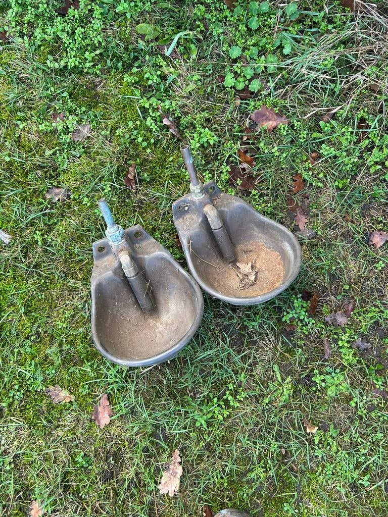 Drinkbak, Dieren en Toebehoren