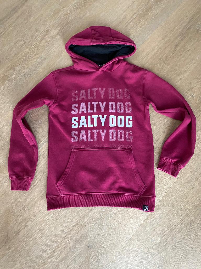 Salty Dog hoodie jongens maat 158/164, Gebruikt, Trui of Vest, Ophalen of Verzenden, Salty Dog