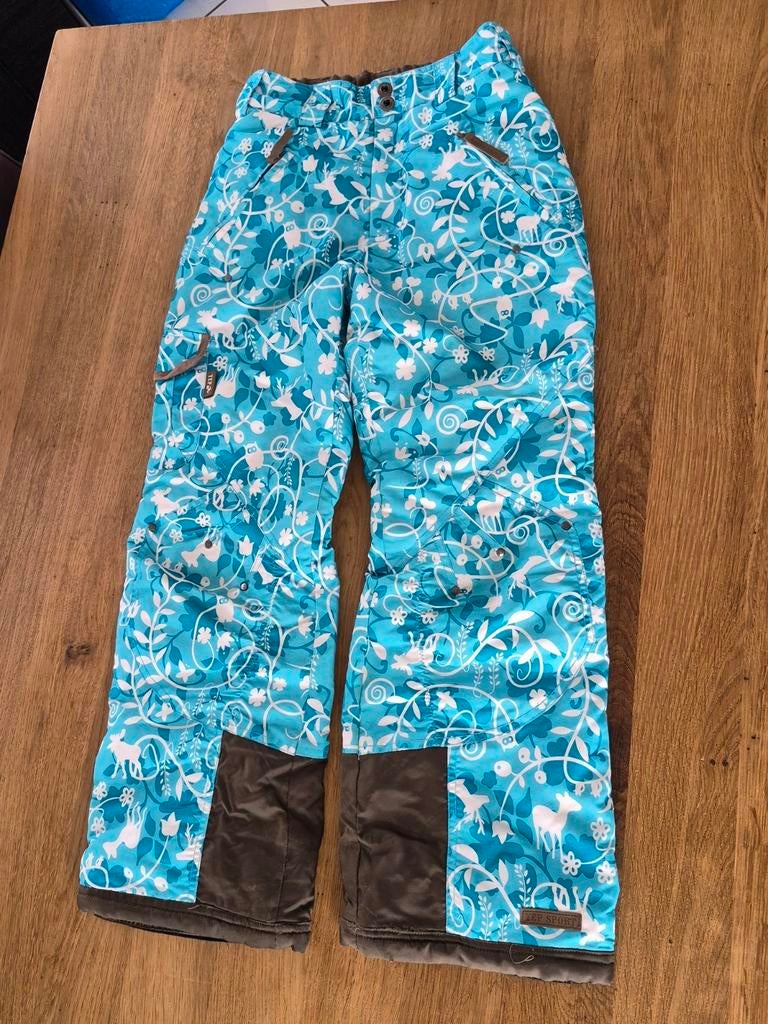 Skibroek / snowboard broek, maat 164, Ophalen, Gebruikt, Jongen of Meisje, Broek