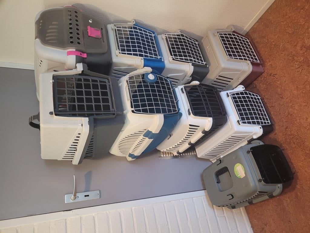 Vervoersbakken voor katten of konijnen., Dieren en Toebehoren, Ophalen, Gebruikt