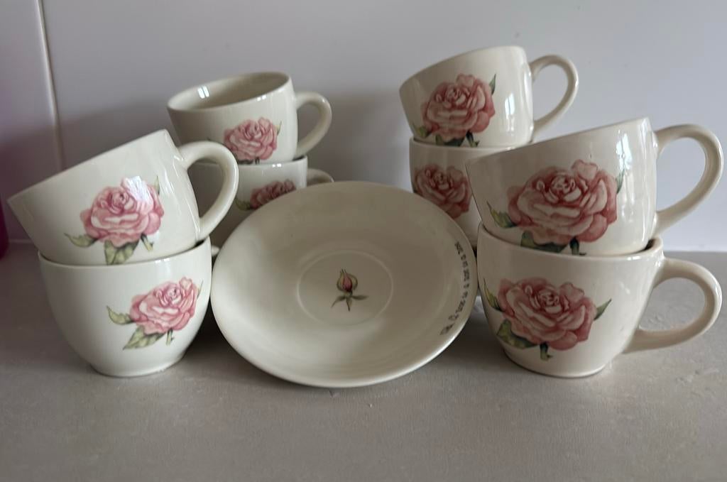 Jet ter steege servies , a rose is a rose, Ophalen of Verzenden, Zo goed als nieuw, Overige stijlen, Kop(pen) en/of Schotel(s)