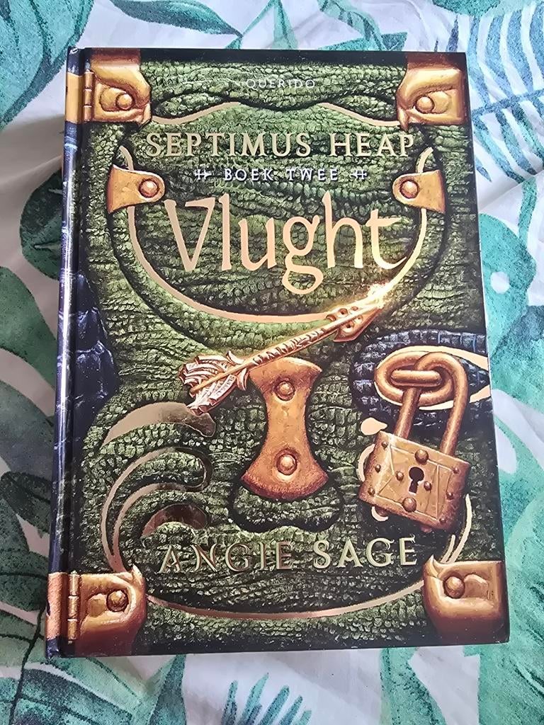 Angie Sage:
Septimus Heap - Vlught,
Hardcover Nederlands, Boeken, Ophalen of Verzenden, Gelezen