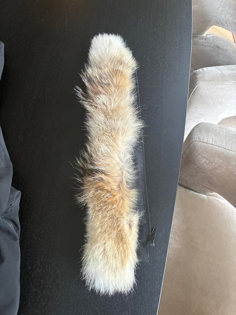 Canada Goose heren jas zwart maat M, Ophalen of Verzenden, Zo goed als nieuw, Zwart