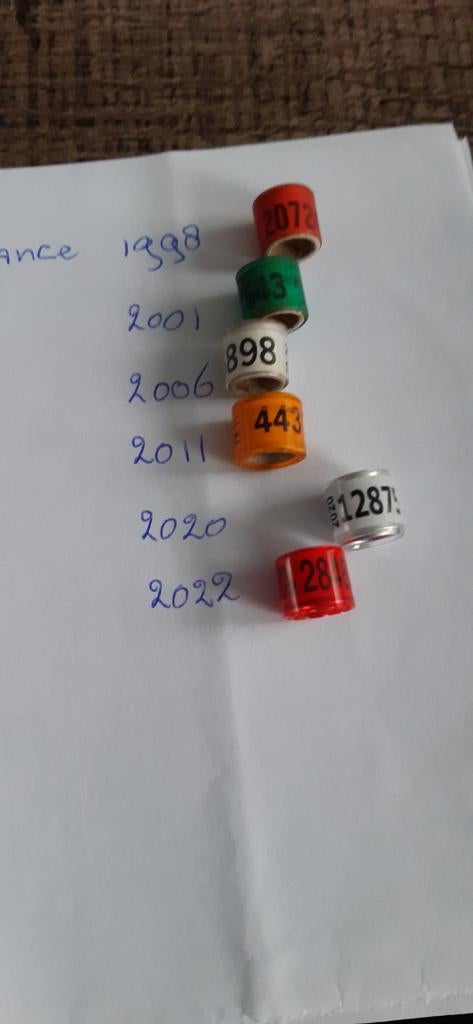 Duivenringen France, Dieren en Toebehoren, Meerdere dieren, Postduif