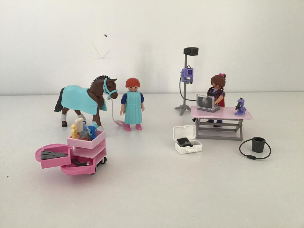 Playmobil 71241 paardenarts, Ophalen of Verzenden, Zo goed als nieuw, Complete set