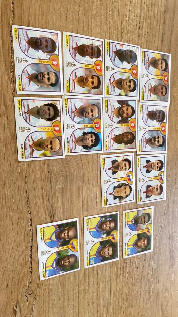 Panini wk 2002 rusland equador en tunesie, Ophalen of Verzenden, Zo goed als nieuw, Buitenlandse clubs, Poster, Plaatje of Sticker