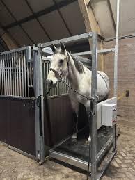 Vitafloor paard te huur, Ophalen of Verzenden, Nieuw, Overige soorten