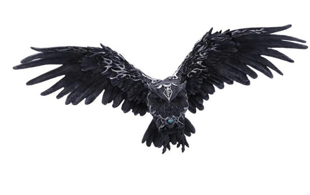Nemesis Now Dark Feather Uil Beeld - 55cm Gotische Decoratie, Ophalen of Verzenden