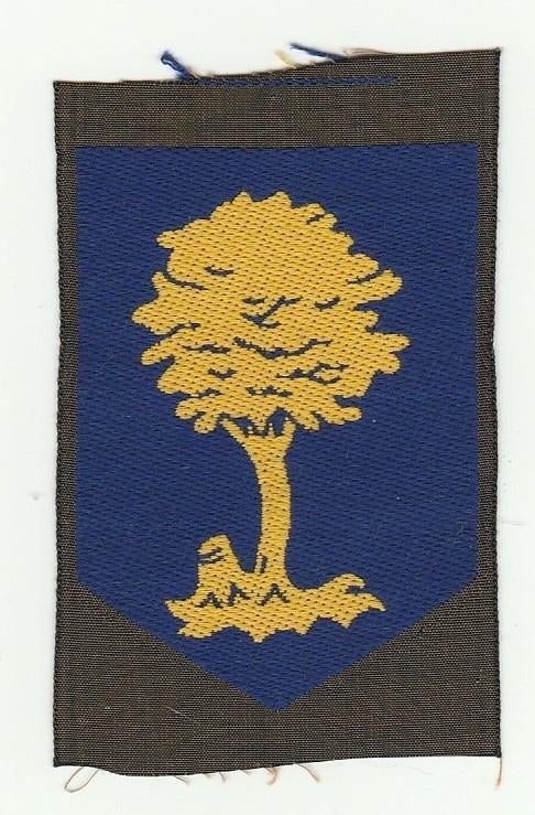 Embleem Opleidings- en trainingscommando (kleur),, Verzenden, Landmacht, Nederland, Embleem of Badge