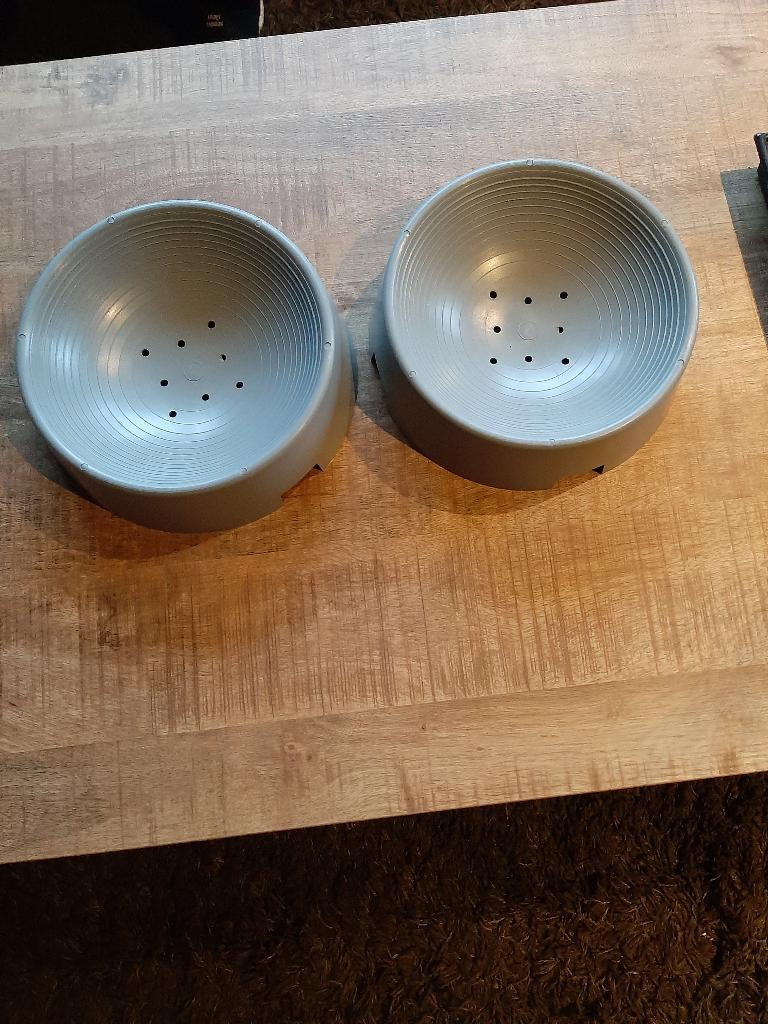 duiven broedschalen 48 stuks, Dieren en Toebehoren, Vogels | Duiven, Geslacht onbekend, Overige soorten