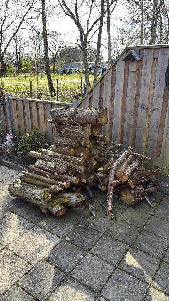 Haard/vuurkorf hout, Tuin en Terras, Haardhout, Minder dan 3 m³, Ophalen, Overige houtsoorten, Stammen