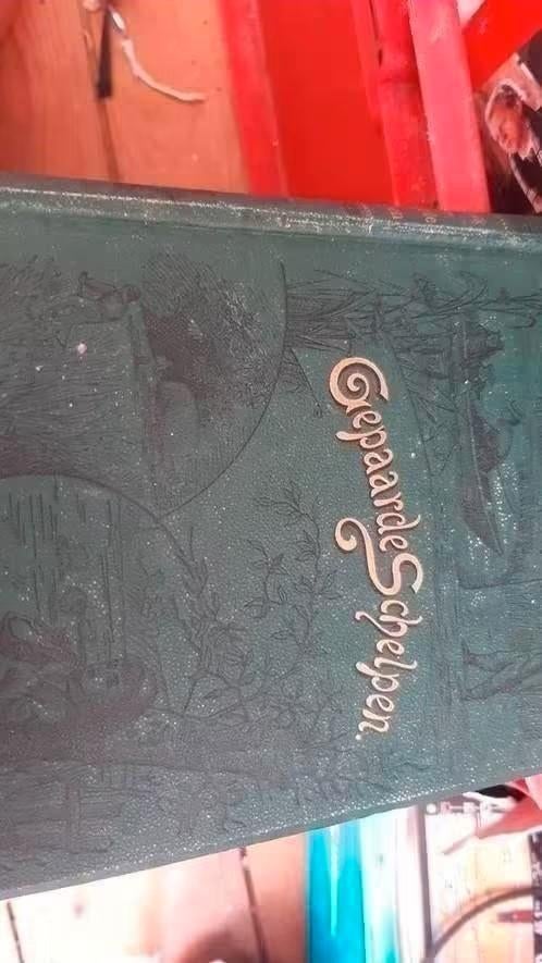 Geparelde Schelpen boek, Ophalen of Verzenden