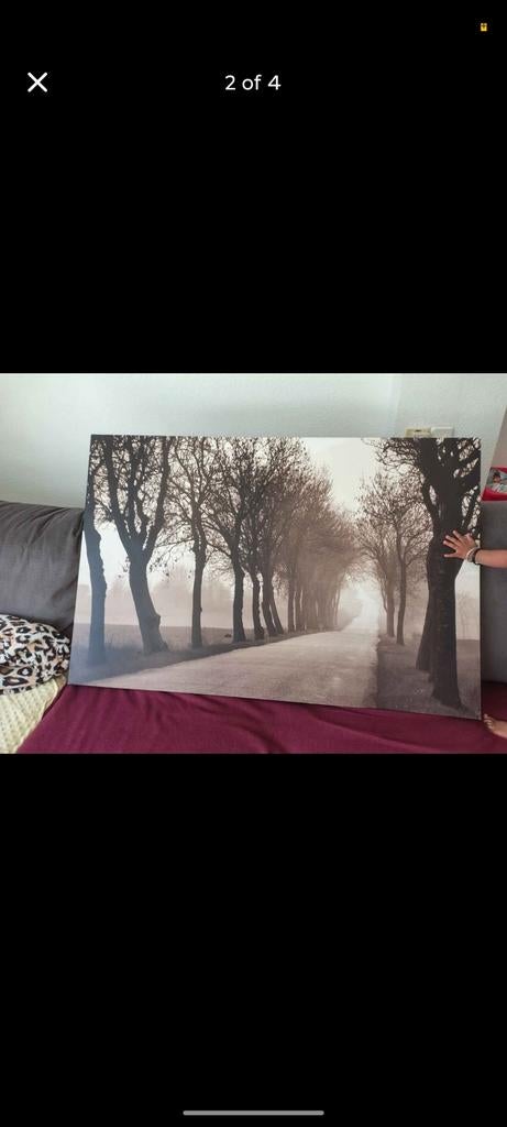 ikea canvas schilderij 78*118, Huis en Inrichting, Woonaccessoires | Schilderijen, Tekeningen en Foto's, Ophalen, Zo goed als nieuw