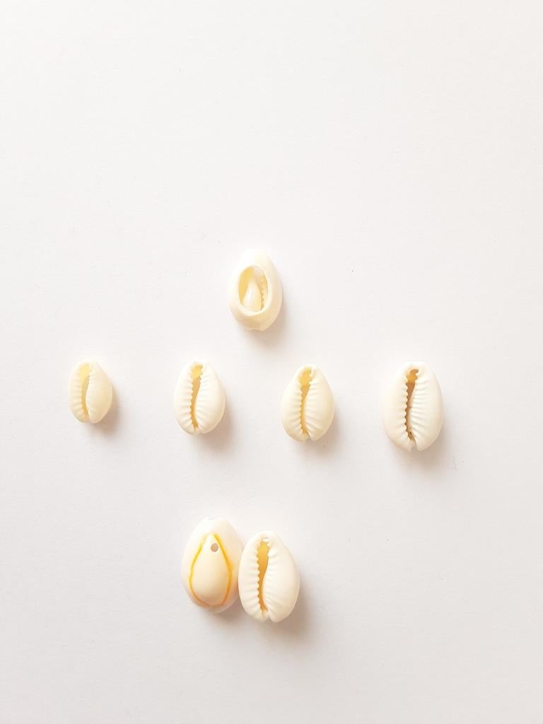 Heel veel nieuwe kauri schelpen, bedels, kralen, Overige merken, Overige materialen, Nieuw, Ophalen of Verzenden