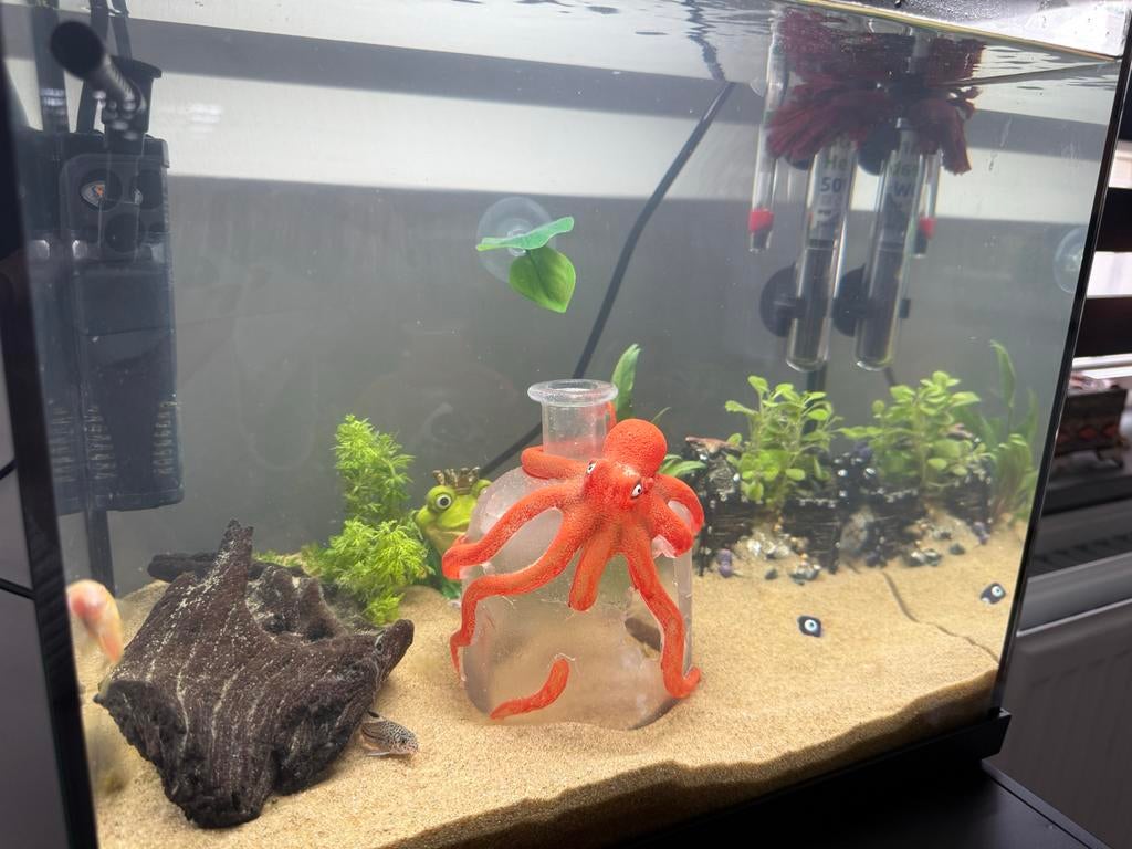 Aquarium, Ophalen, Zo goed als nieuw, Verlichting of Verwarming