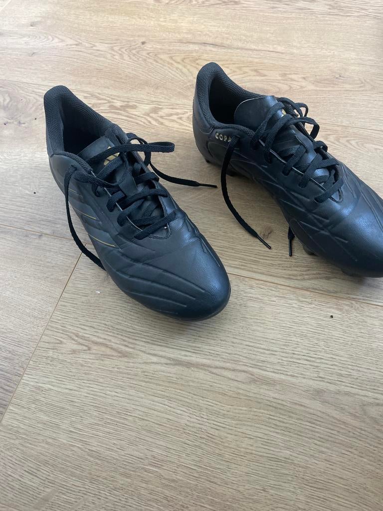 Voetbalschoenen maat 42 2/3, Ophalen, Maat XS of kleiner, Schoenen, Zo goed als nieuw