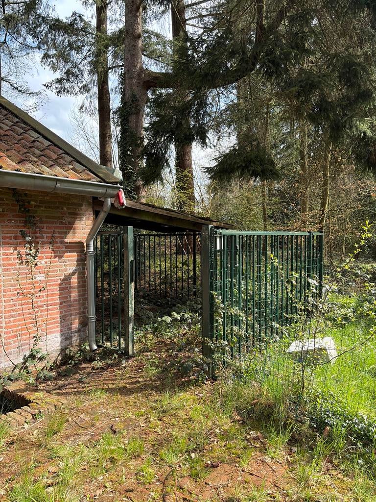 Hondenkennel – Metaal ABC hekwerk, Ophalen, Hondenkennel, 100 cm of meer, 110 cm of meer