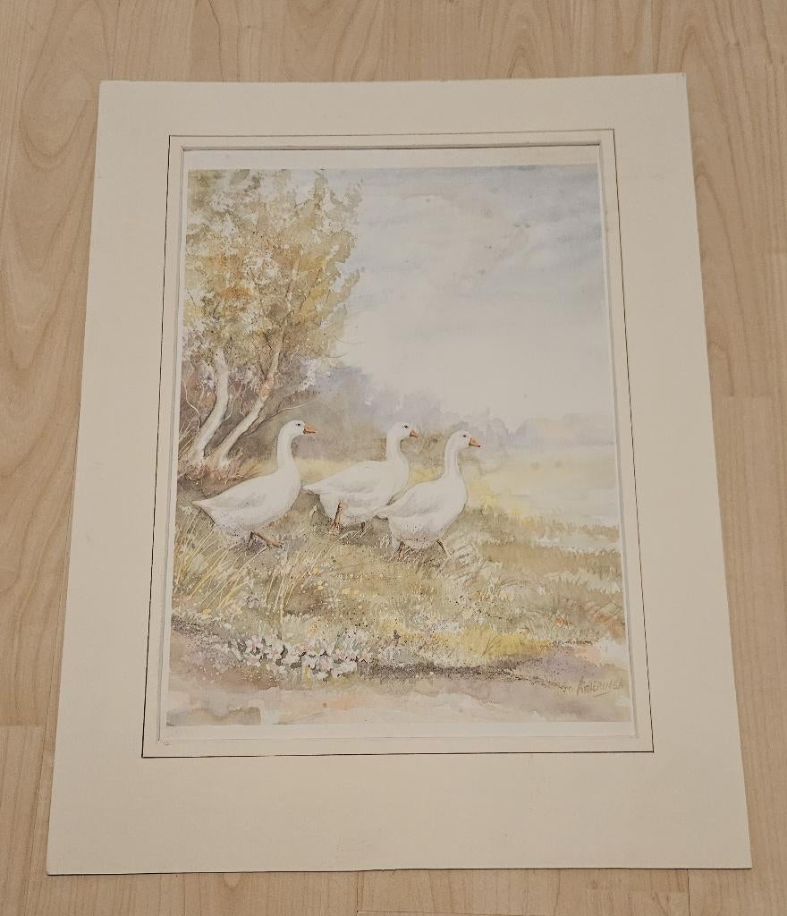 Prent van Zwanen, Ophalen of Verzenden, Voor 1940, Overige onderwerpen