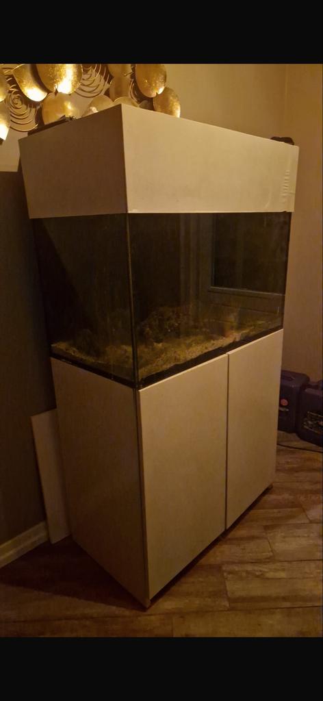 Red sea reefer 250, Dieren en Toebehoren, Ophalen of Verzenden, Gevuld zeewateraquarium