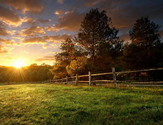 GEZOCHT: Grond of weide te koop of huurkoop, Dieren en Toebehoren, Stalling en Weidegang