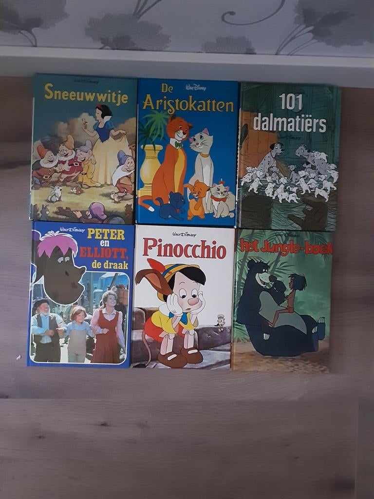 WALT DISNEY BOEKEN ZIE OMSCHRIJVING, Ophalen, Gebruikt, Overige typen