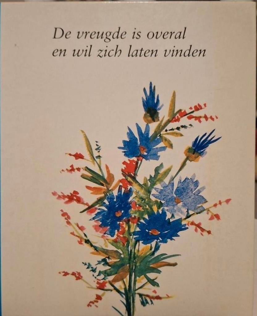 De vreugde is overal - Anna Schrieber, Ophalen of Verzenden, Gelezen, Anna Schrieber, Eén auteur