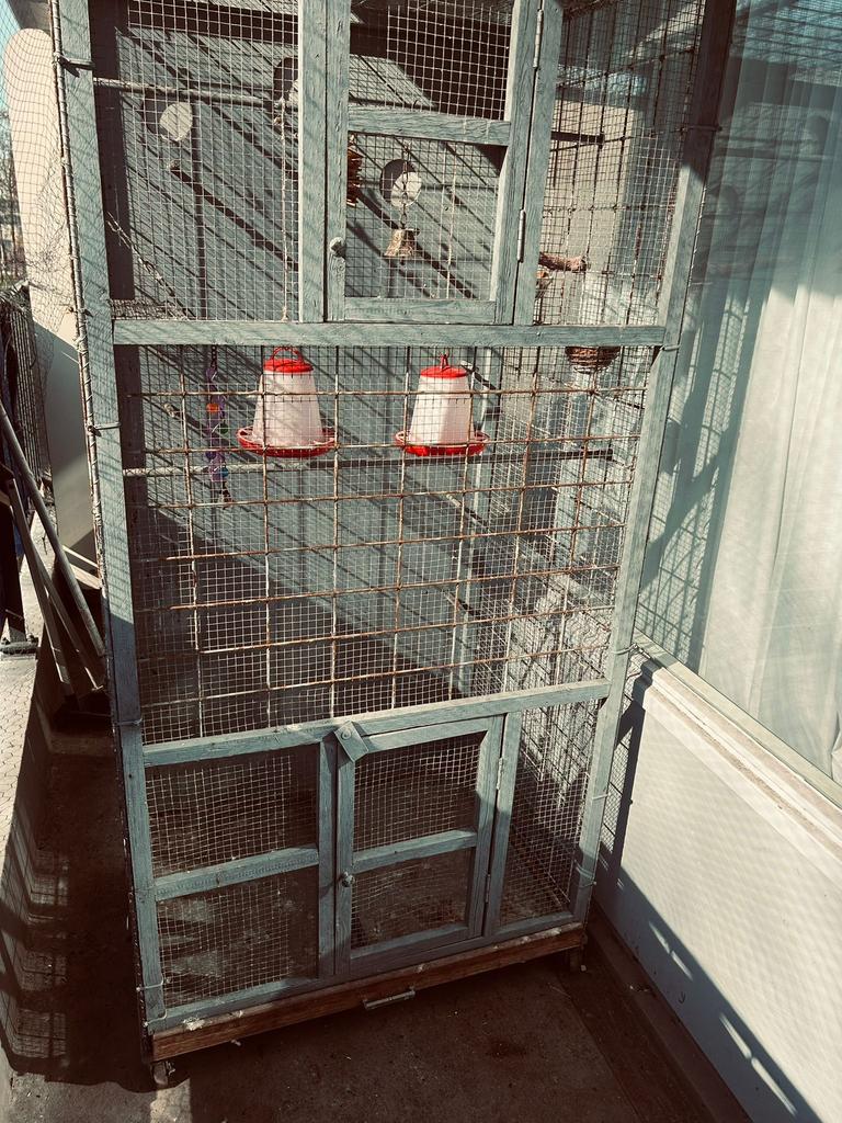 Groete buiten vogelkooi/ volière, Dieren en Toebehoren, Ophalen, Gebruikt, Metaal, Volière