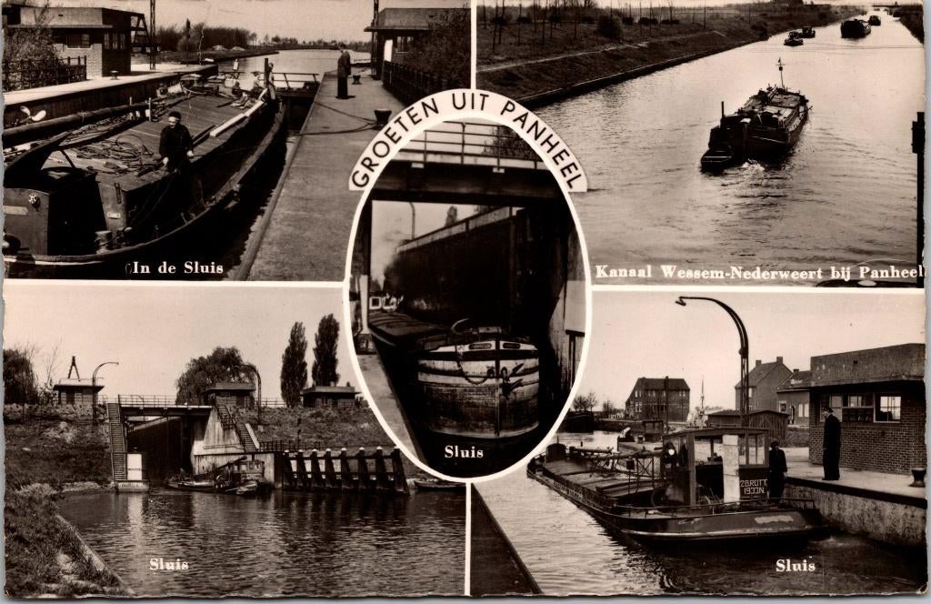 Groeten uit Panheel (1959), Verzenden, 1940 tot 1960, Gelopen, Limburg