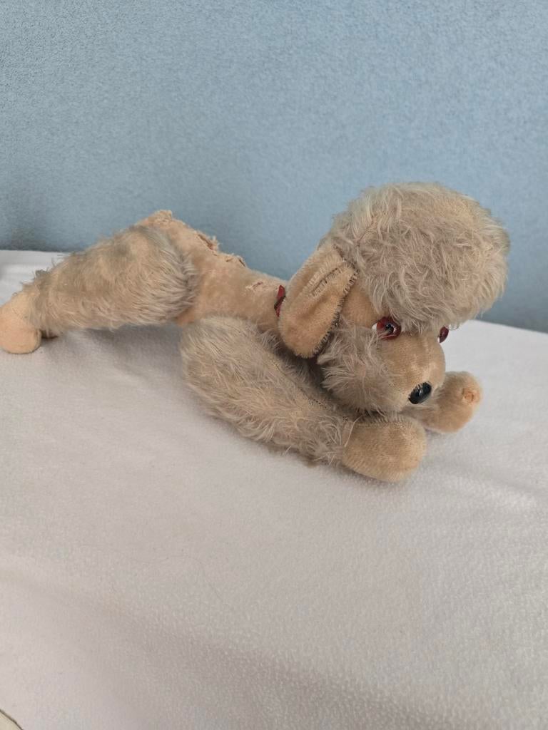 Oude hond, Ophalen of Verzenden