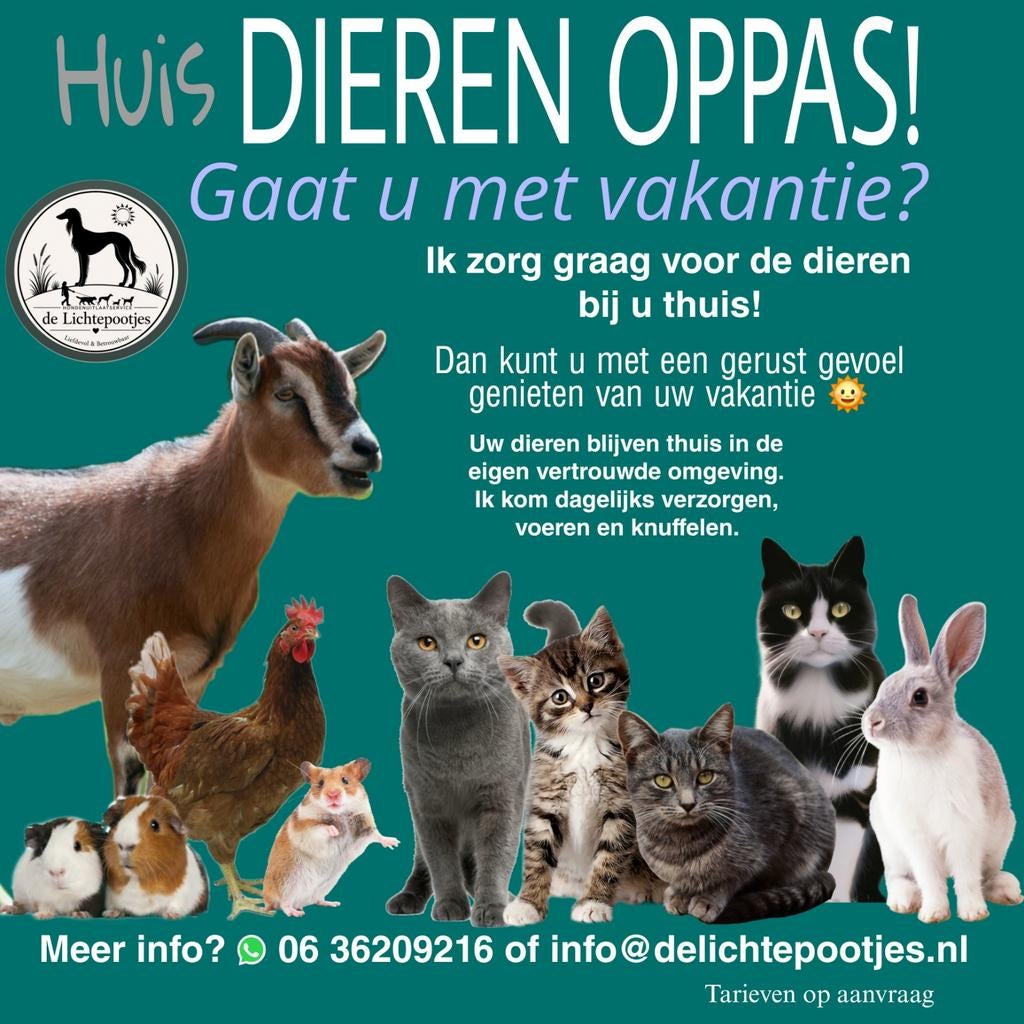 Verzorging tijdens vakantie!, Diensten en Vakmensen, Dieren | Honden | Verzorging, Oppas en Les