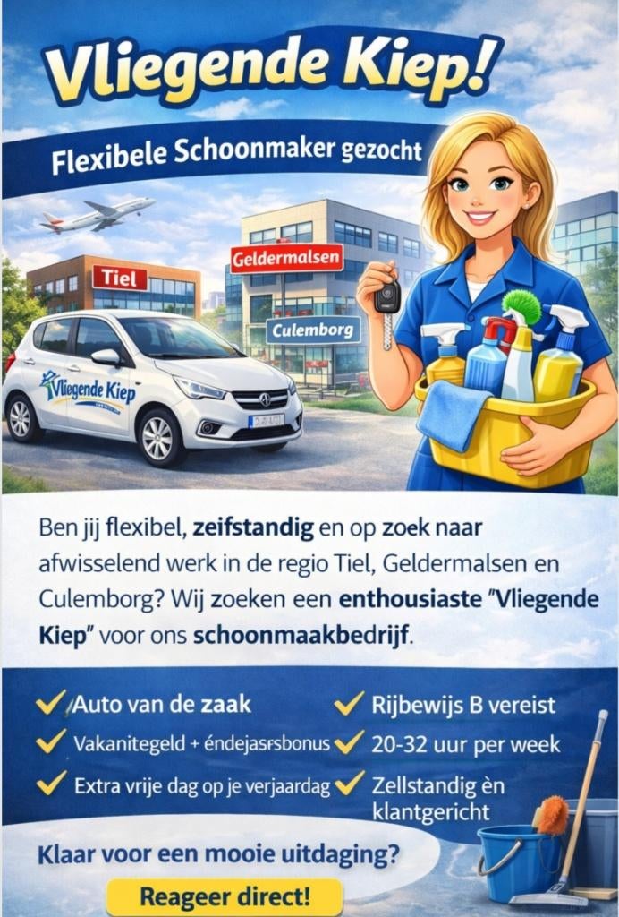 GEZOCHT vliegende kiep in de schoonmaak Tiel, 25 - 32 uur, Overige niveaus, Vanaf 1 jaar, Overige vormen