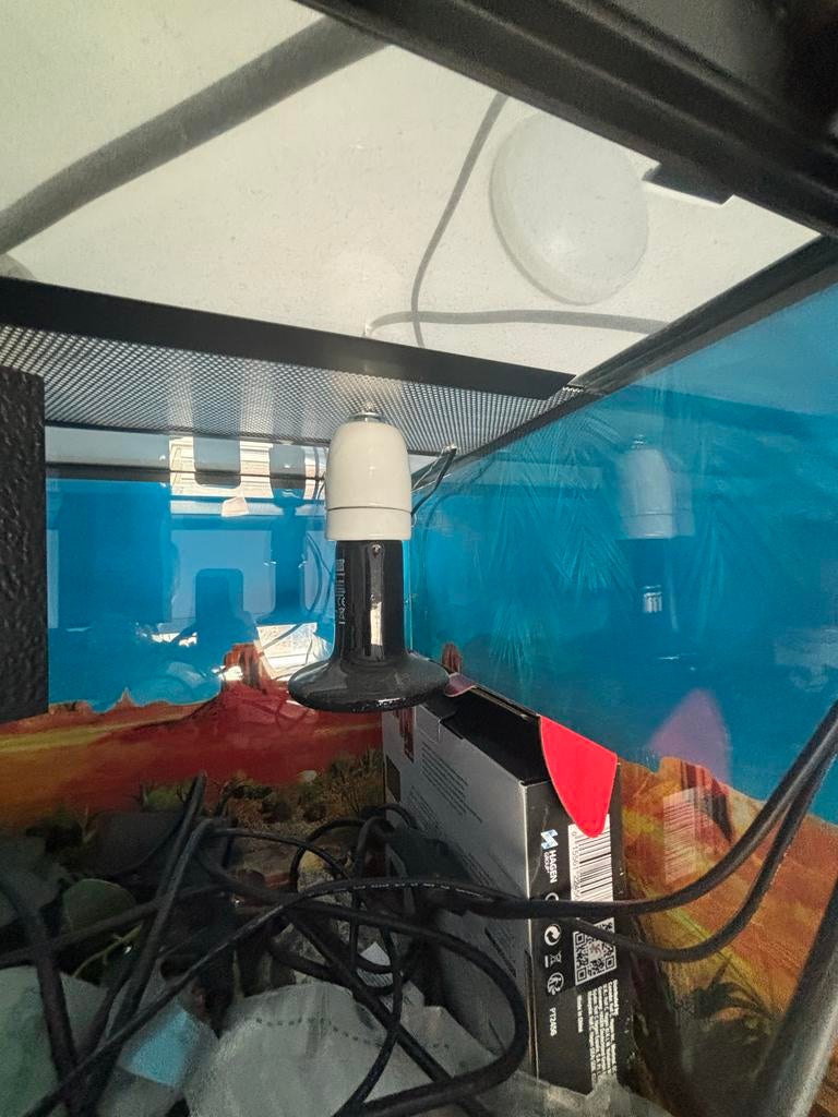 Terrarium 58,5x38,5x38,5 incl. Toebehoren, Ophalen, Zo goed als nieuw, Terrarium of Paludarium