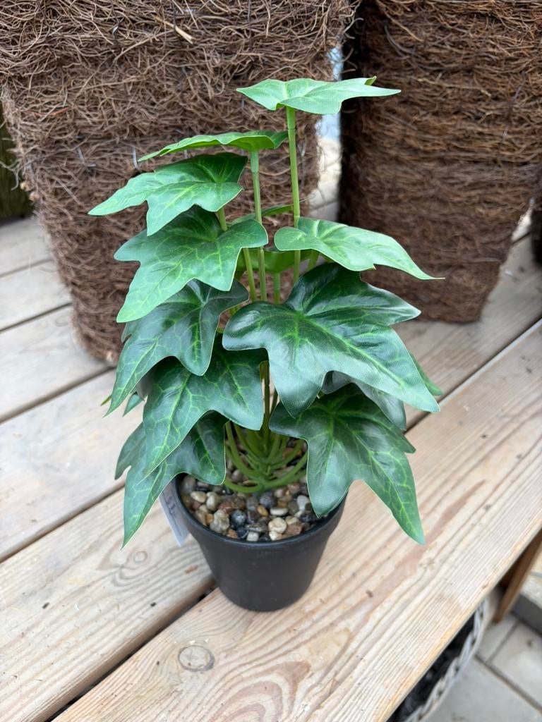 Kunstplanten partij mix, Ophalen, Overige soorten, Volle zon