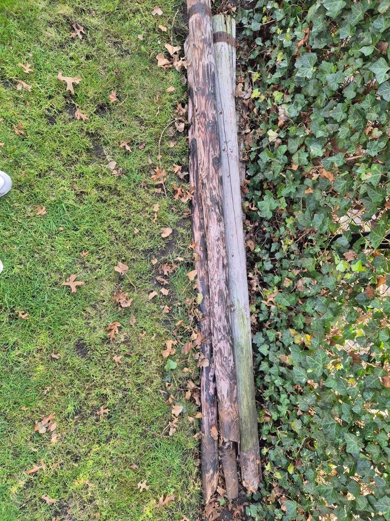 Carboleum Boompalen - 2.00 tot 2.10 meter, Ophalen of Verzenden, Minder dan 180 cm, Palen