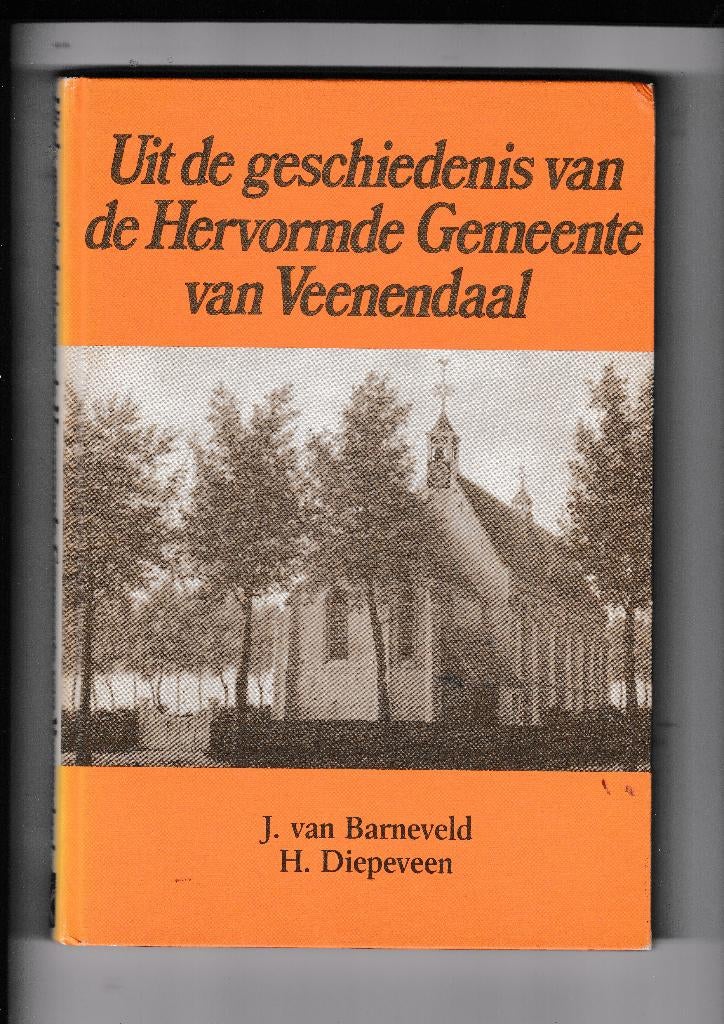 Veenendaal, Boeken, Geschiedenis | Stad en Regio, Ophalen of Verzenden, Nieuw
