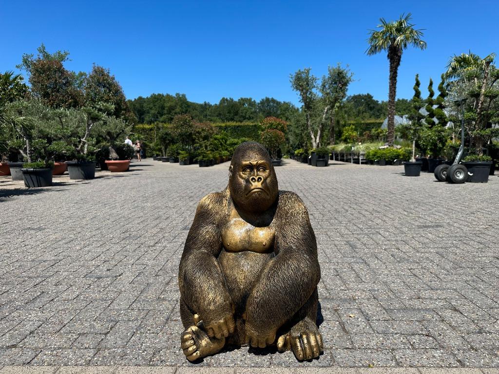 Brons -goud kleurig Gorilla beeld te koop, Ophalen, Nieuw, Kunststof, Dierenbeeld