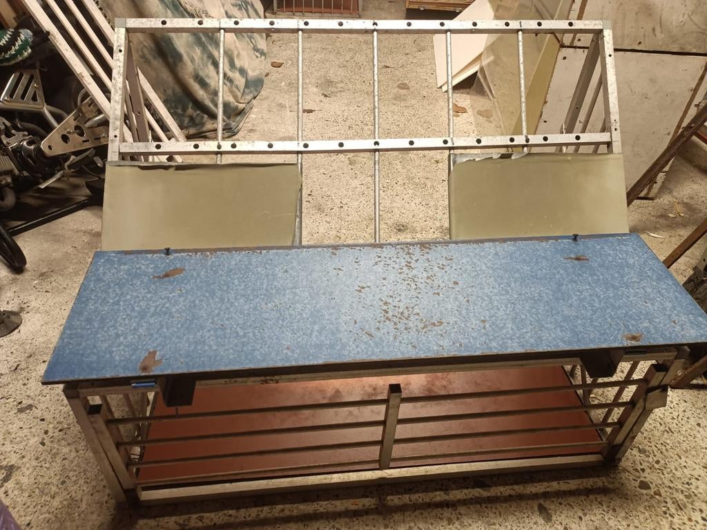 Spoetnik/uitvlieg hokken duif, Vrouwelijk