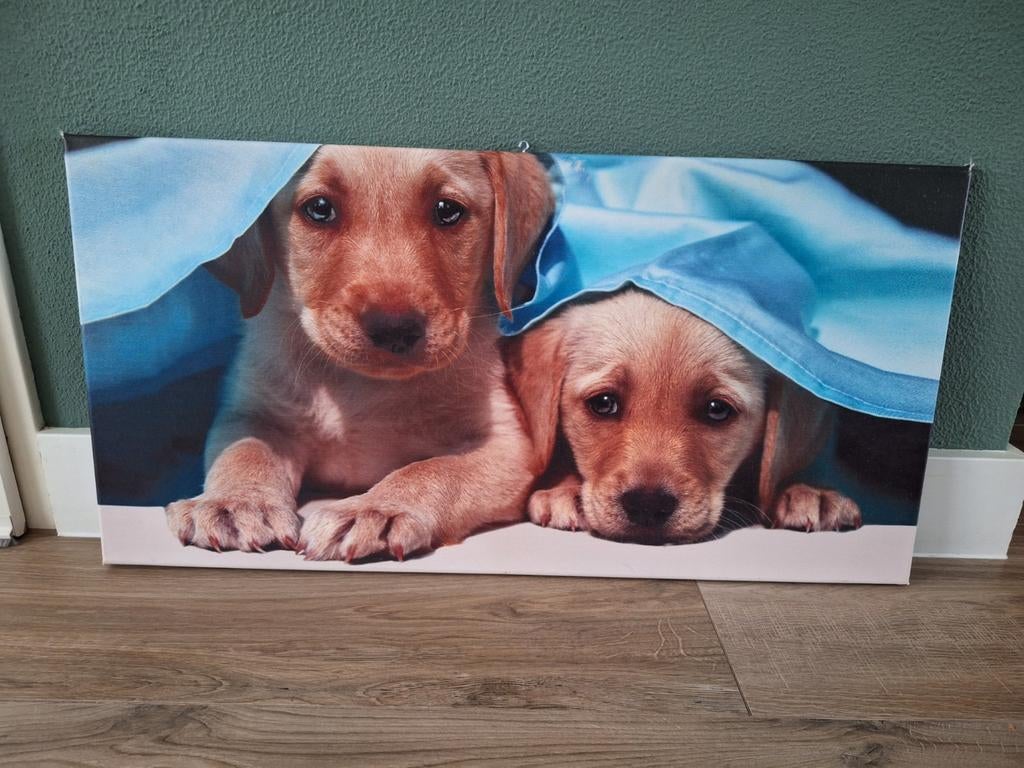 Lief hondjes schilderij, Dieren en Toebehoren, Ophalen of Verzenden