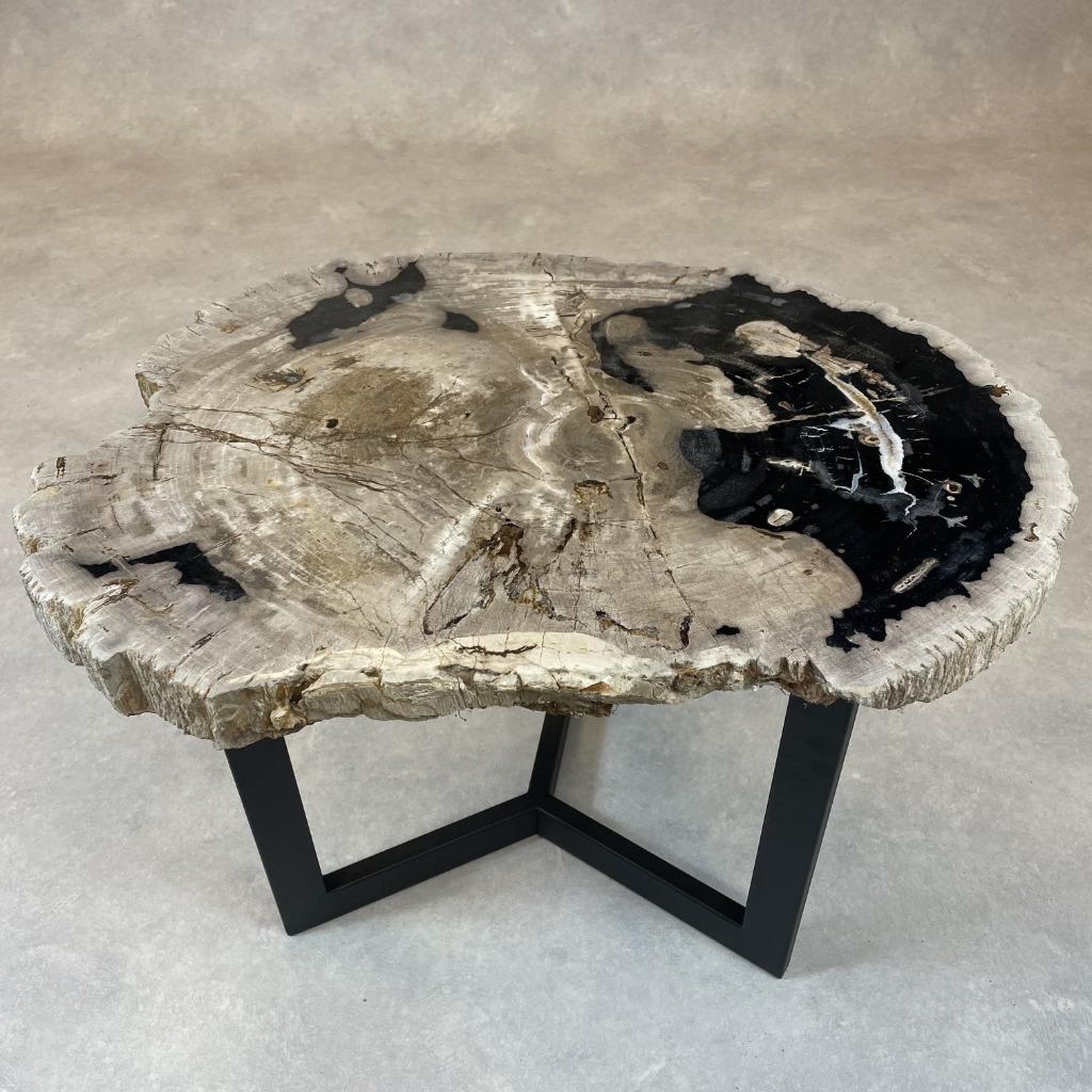 Versteend Hout Salontafels, Ophalen of Verzenden, Nieuw