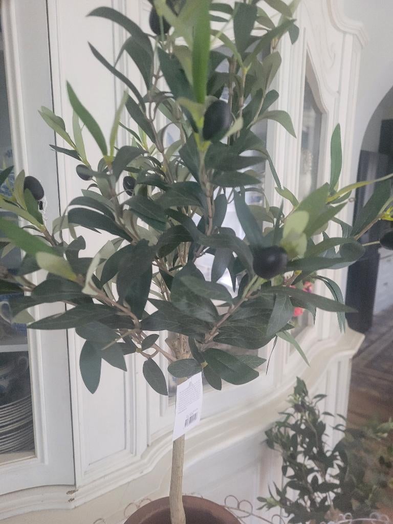 Nieuwe kunst olijven boompjes merk Clayre & Eef, Huis en Inrichting, Belle Vieille Brocante, Nieuw, Ophalen of Verzenden, Jolandamonsieurs@gmail.com